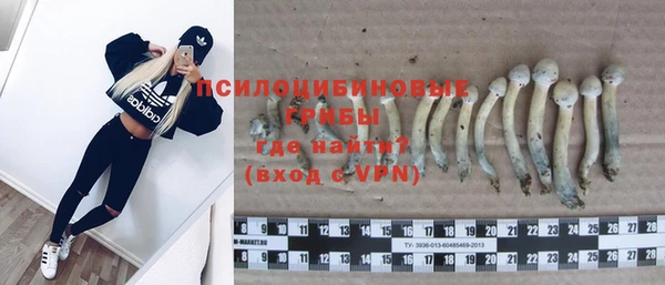 мяу мяу мука Балабаново