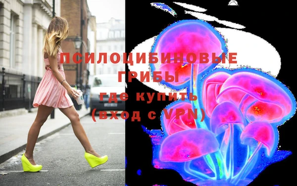 apvp Балахна