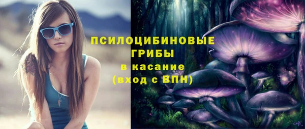 apvp Балахна
