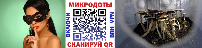 Галлюциногенные грибы Psilocybine cubensis  купить наркоту  Новоржев 